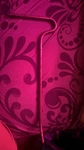 Snap On Tools Dent Repair. Fixed Price $50.00.
