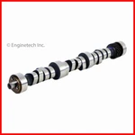 Oe Camshaft For 1996-2002 Gm Chevrolet Isuzu 4.3L 262 Ohv V6 12V. Fixed Price $99.88.