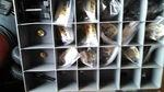 Kent Moore J 44551 50 A/c Suction Screen Kit, Never Used. Fixed Price $149.99.