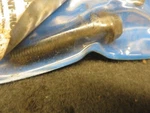 Kent Moore Gm Dealer Tool Oem # EN-47823 Valve Spring Compressor Adapter Bolt. Fixed Price $49.88.